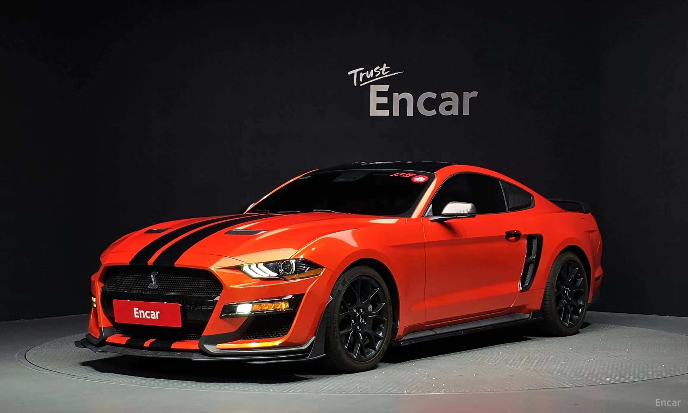 Mustang