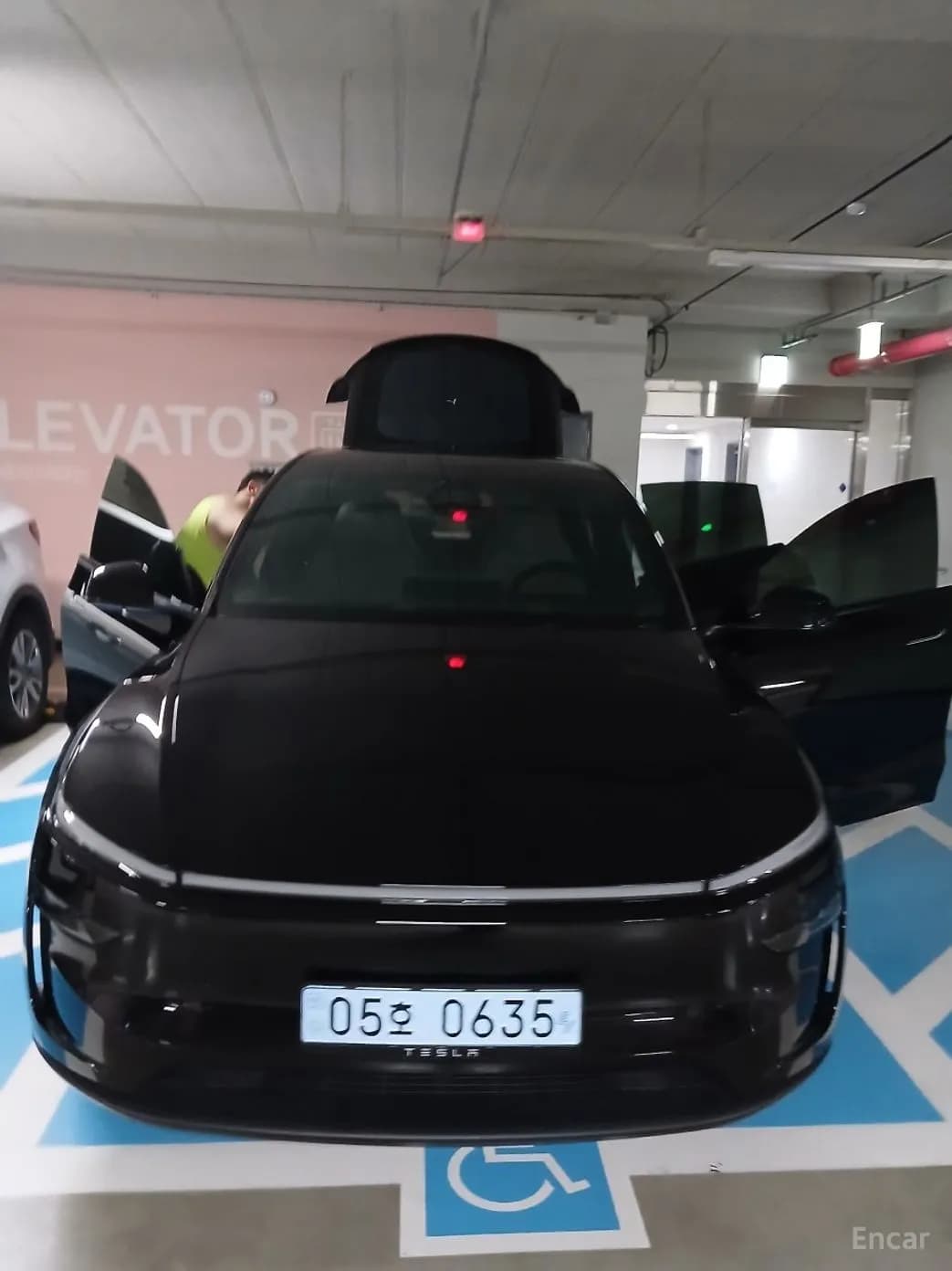 Model Y