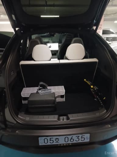 Model Y