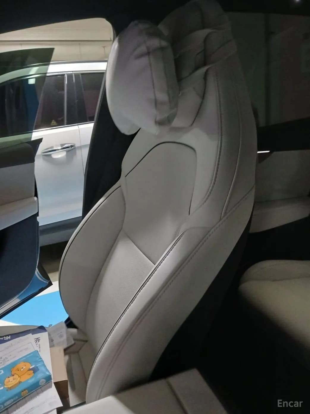 Model Y