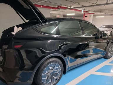 Model Y