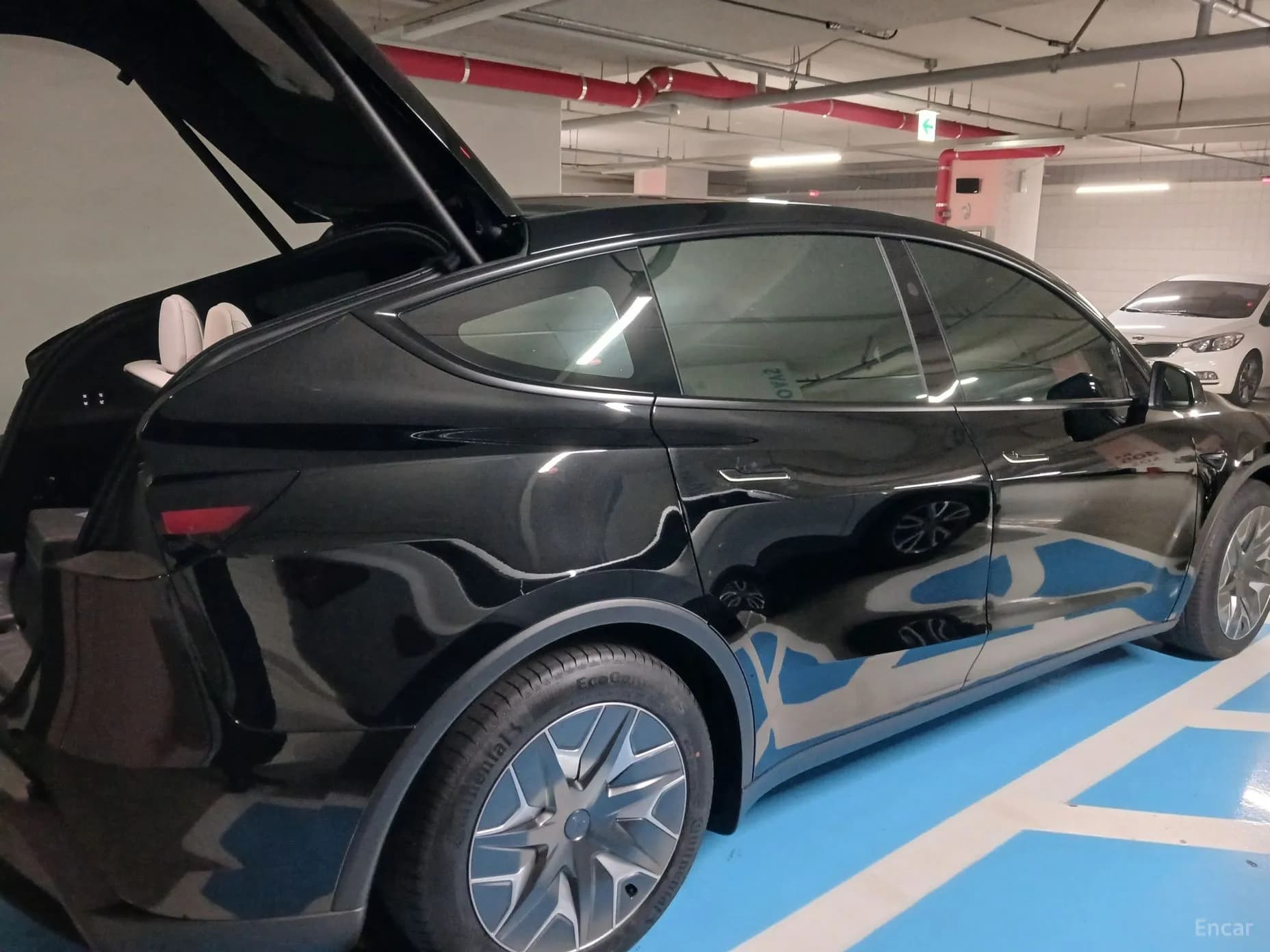 Model Y