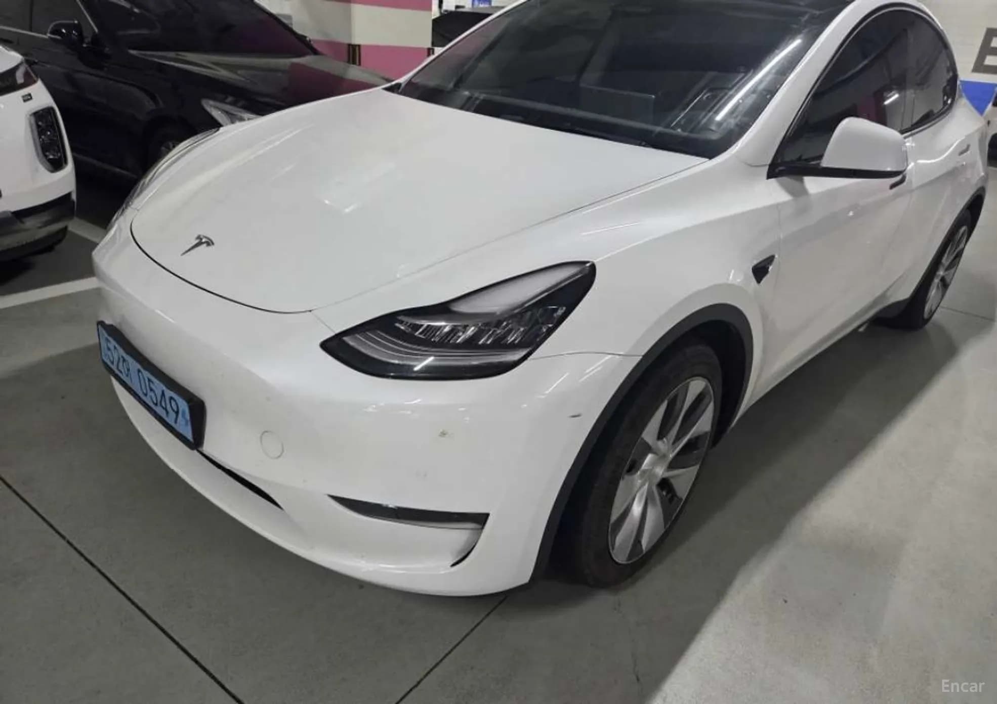 Model Y