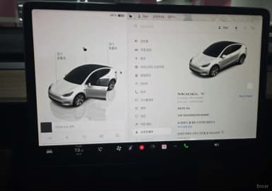 Model Y