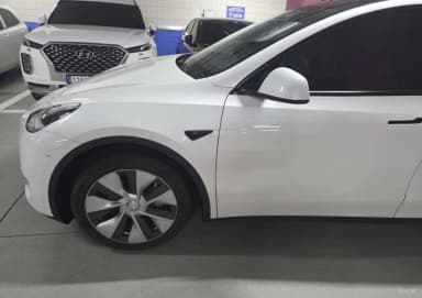 Model Y