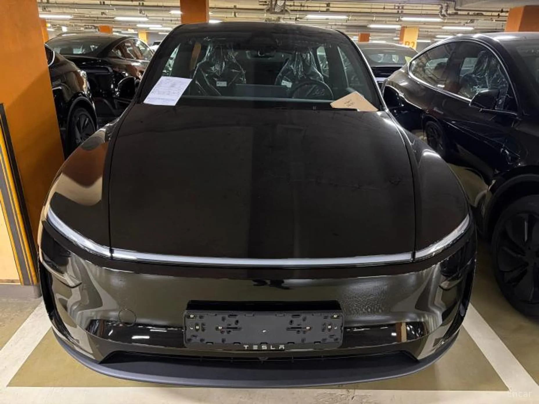 Model Y