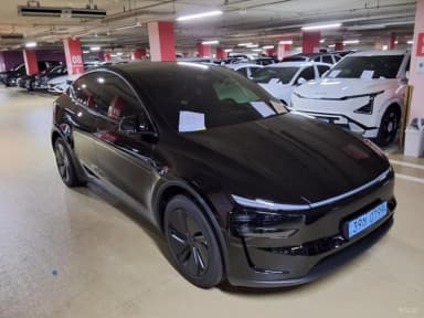 Model Y