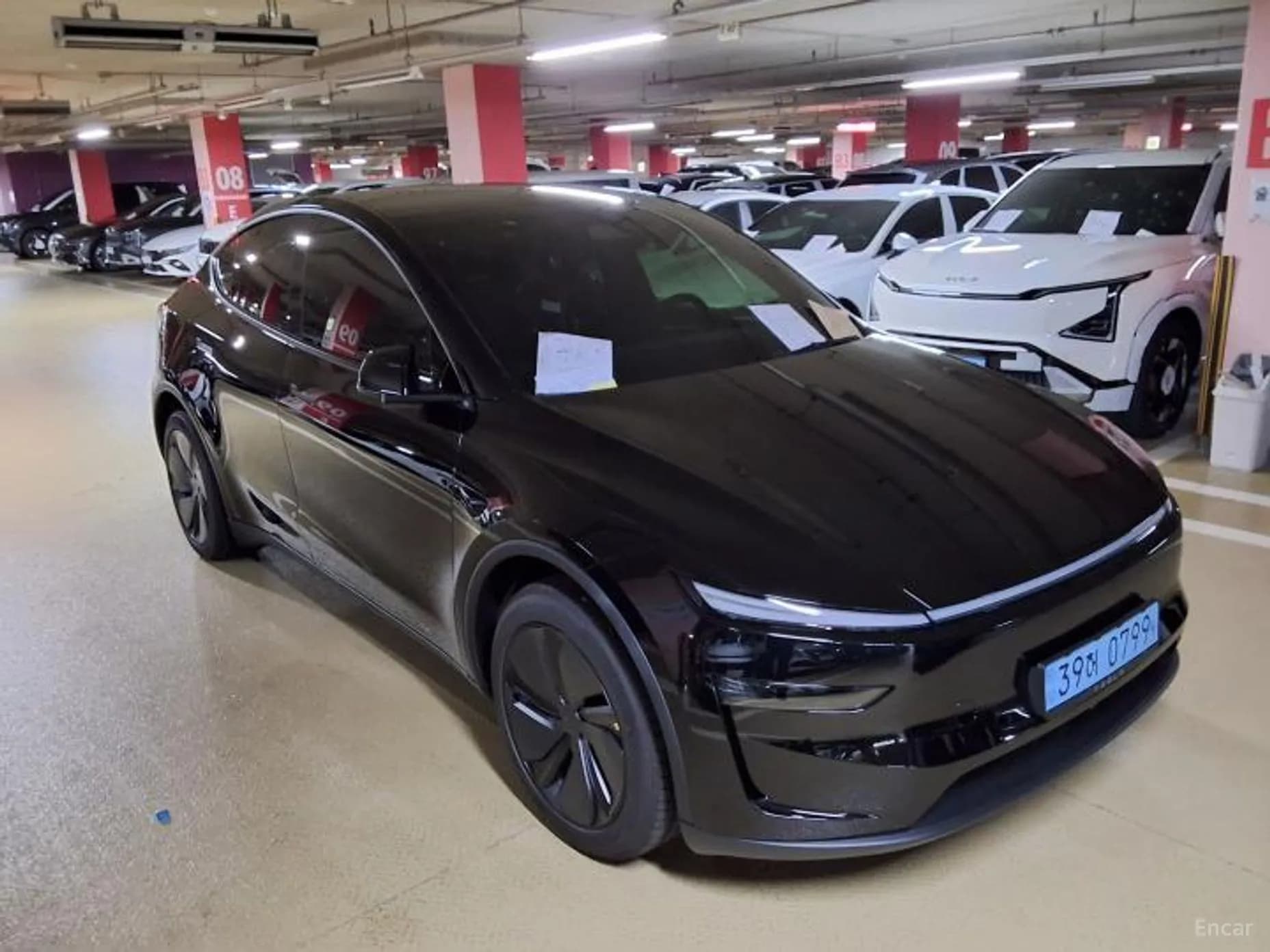 Model Y