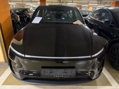 Model Y