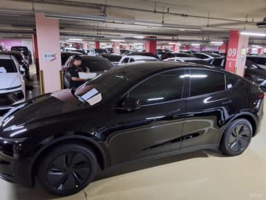 Model Y