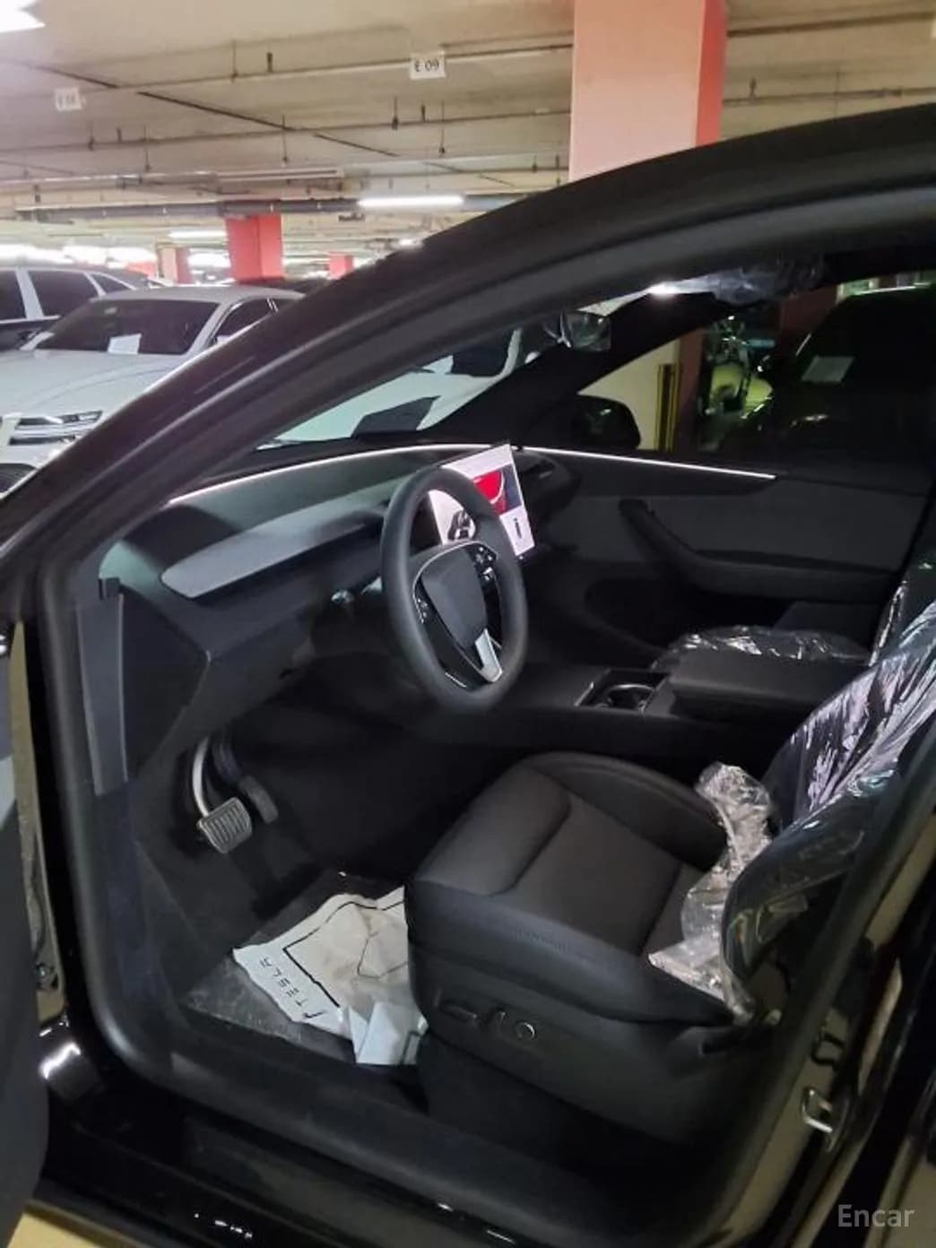 Model Y