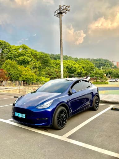 Model Y