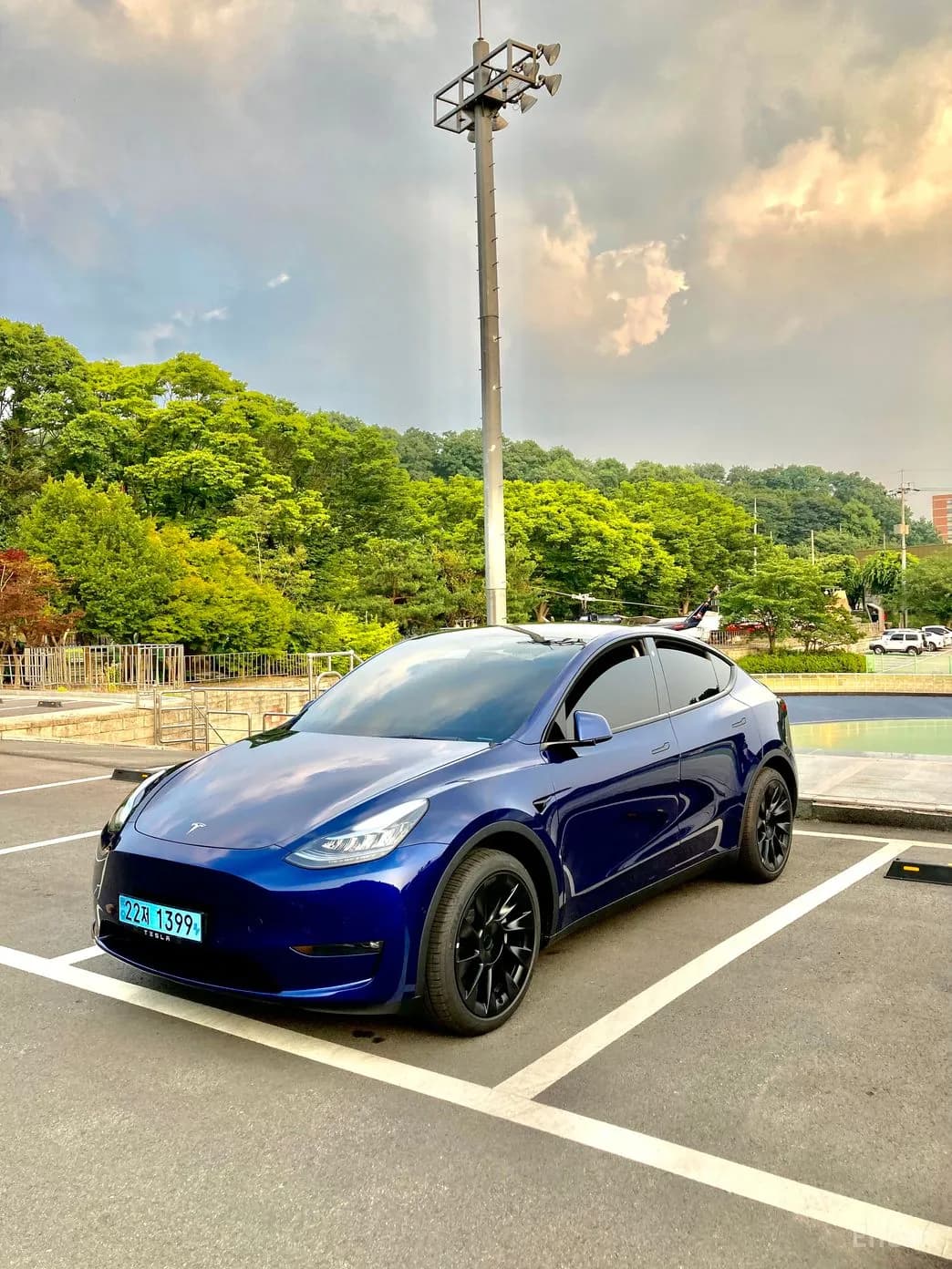 Model Y