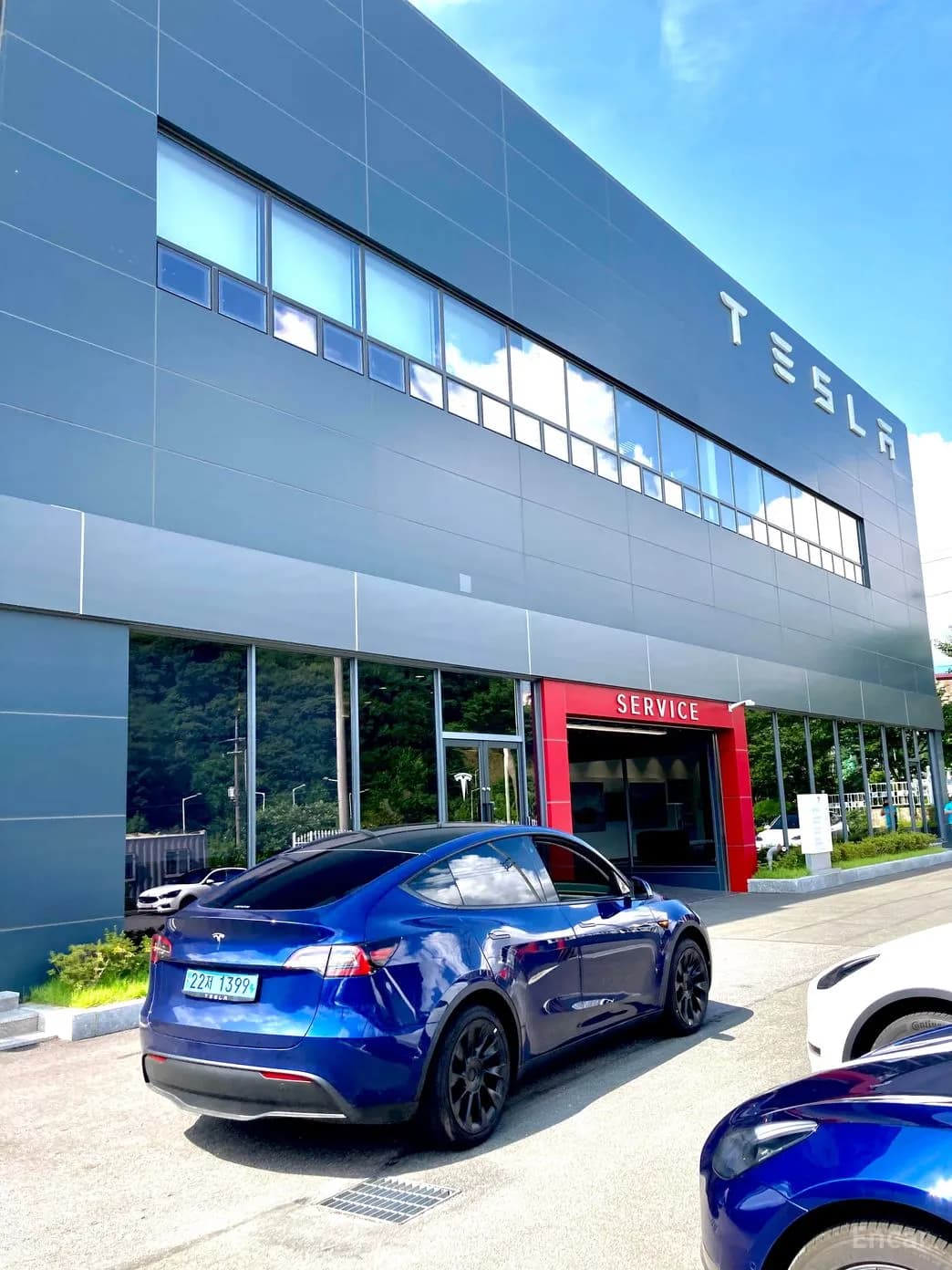 Model Y