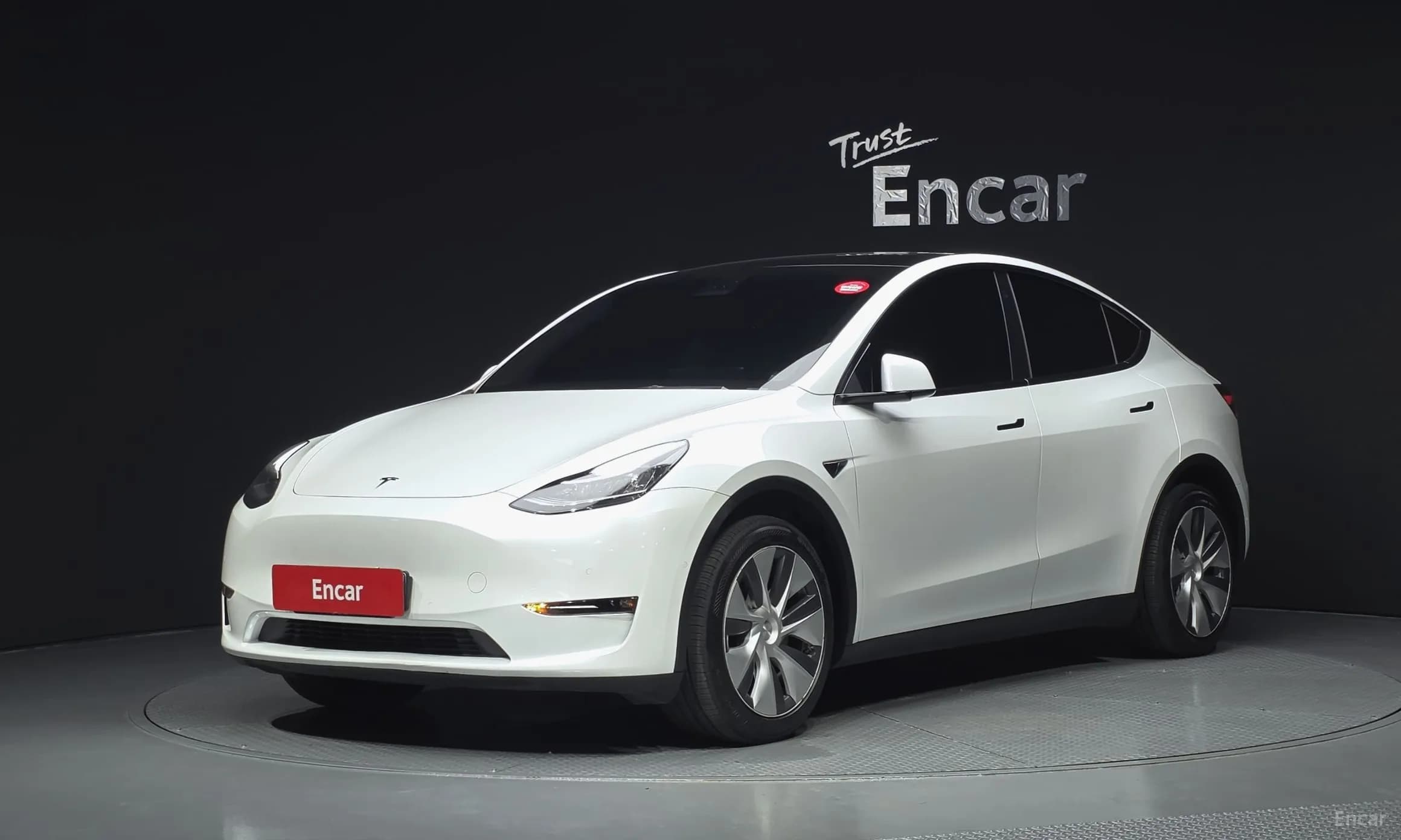 Model Y