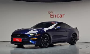Mustang