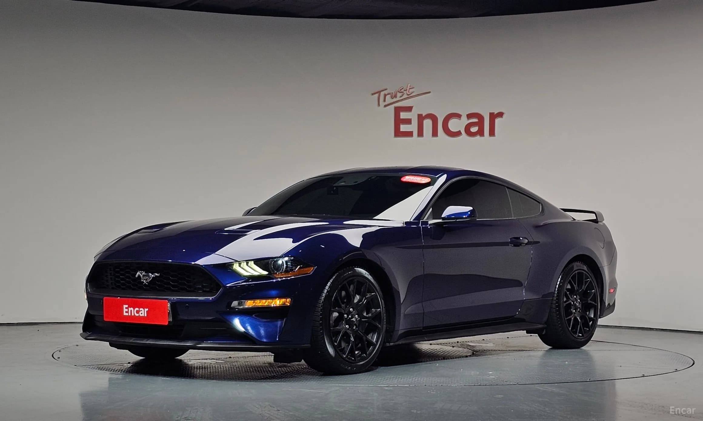 Mustang