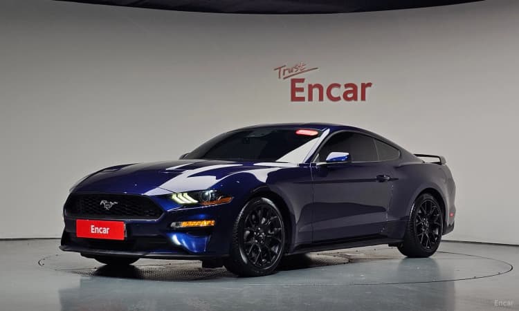 Mustang