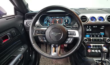 Mustang
