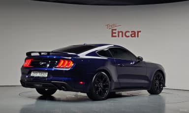 Mustang