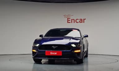 Mustang