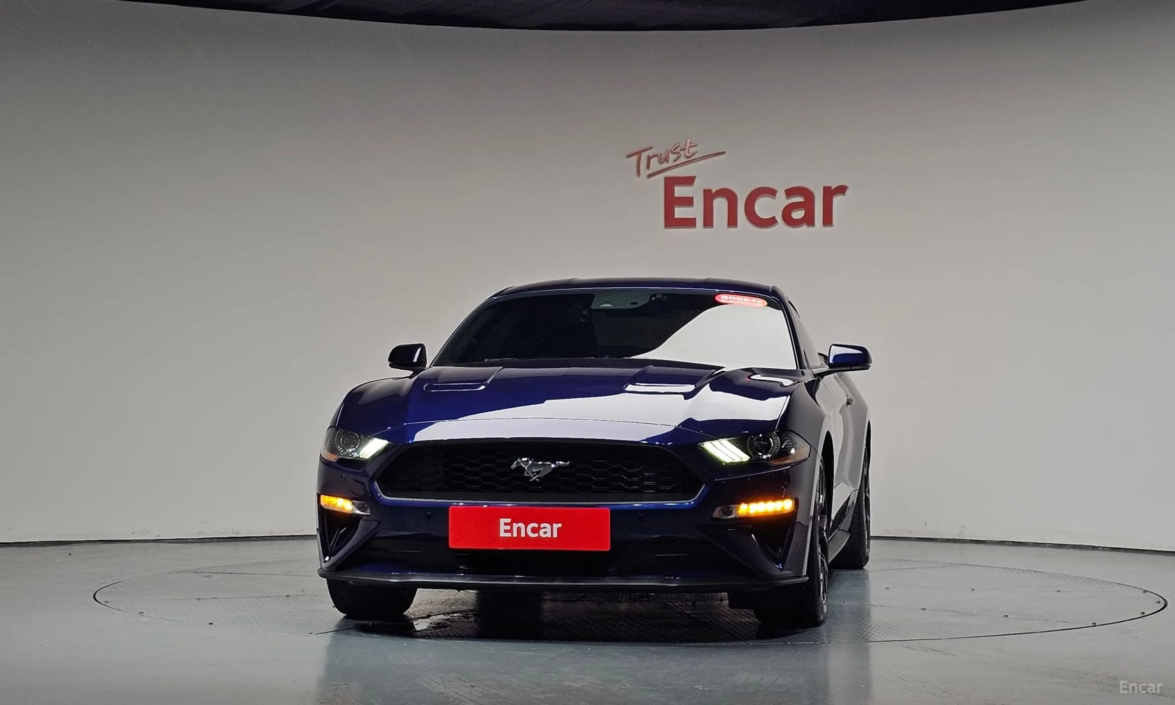 Mustang