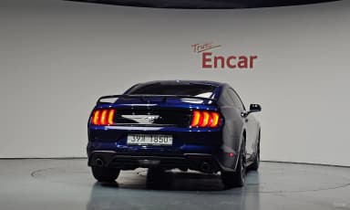 Mustang