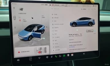 Model Y