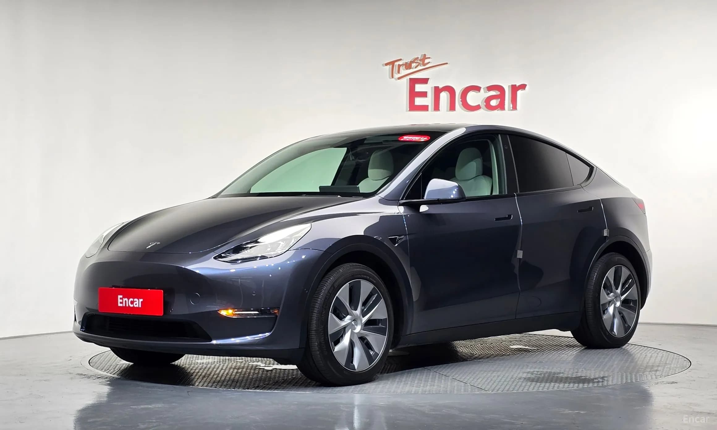 Model Y