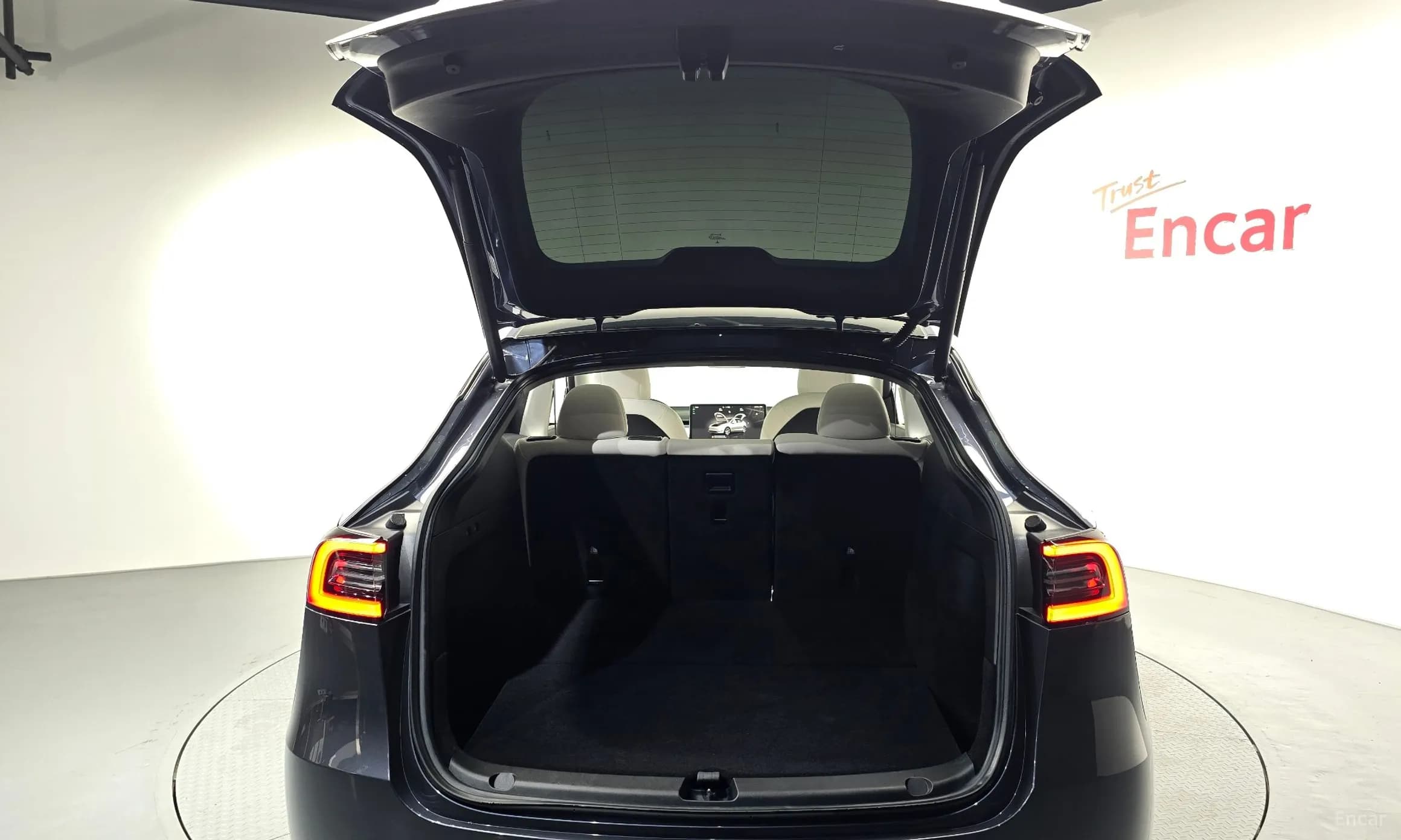 Model Y