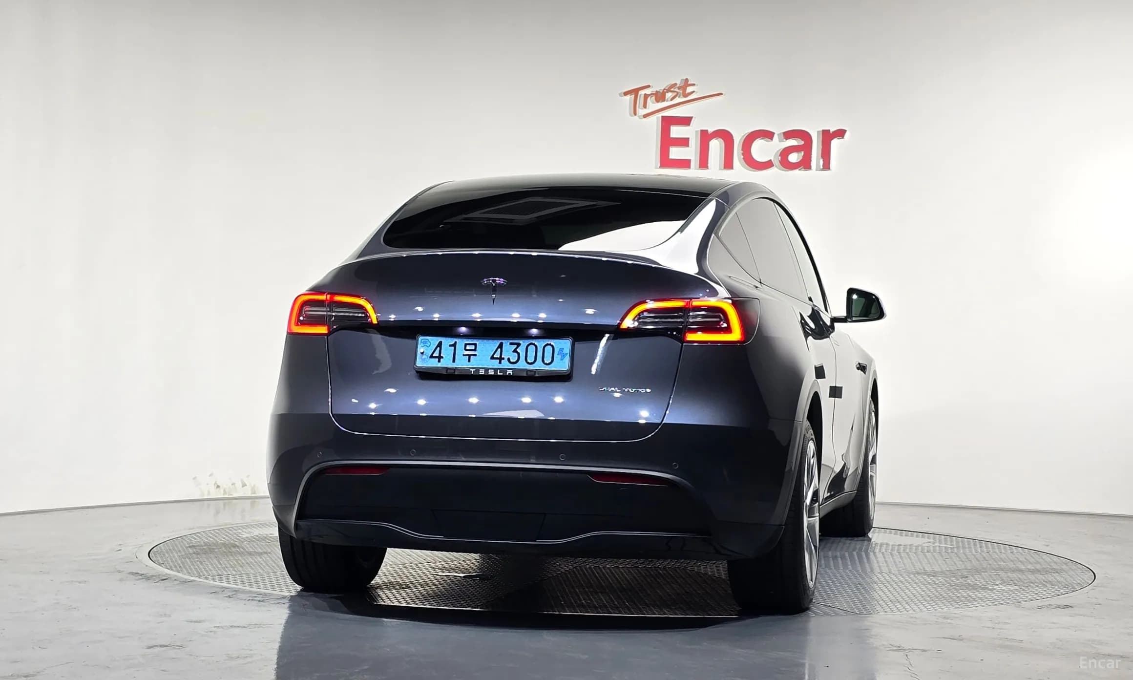 Model Y