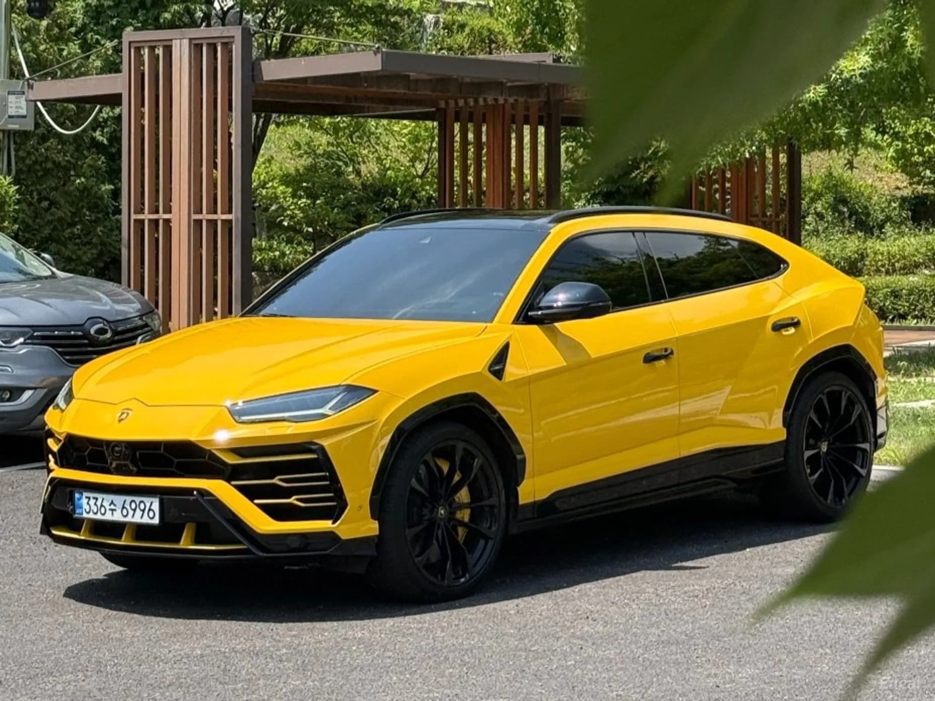 Urus