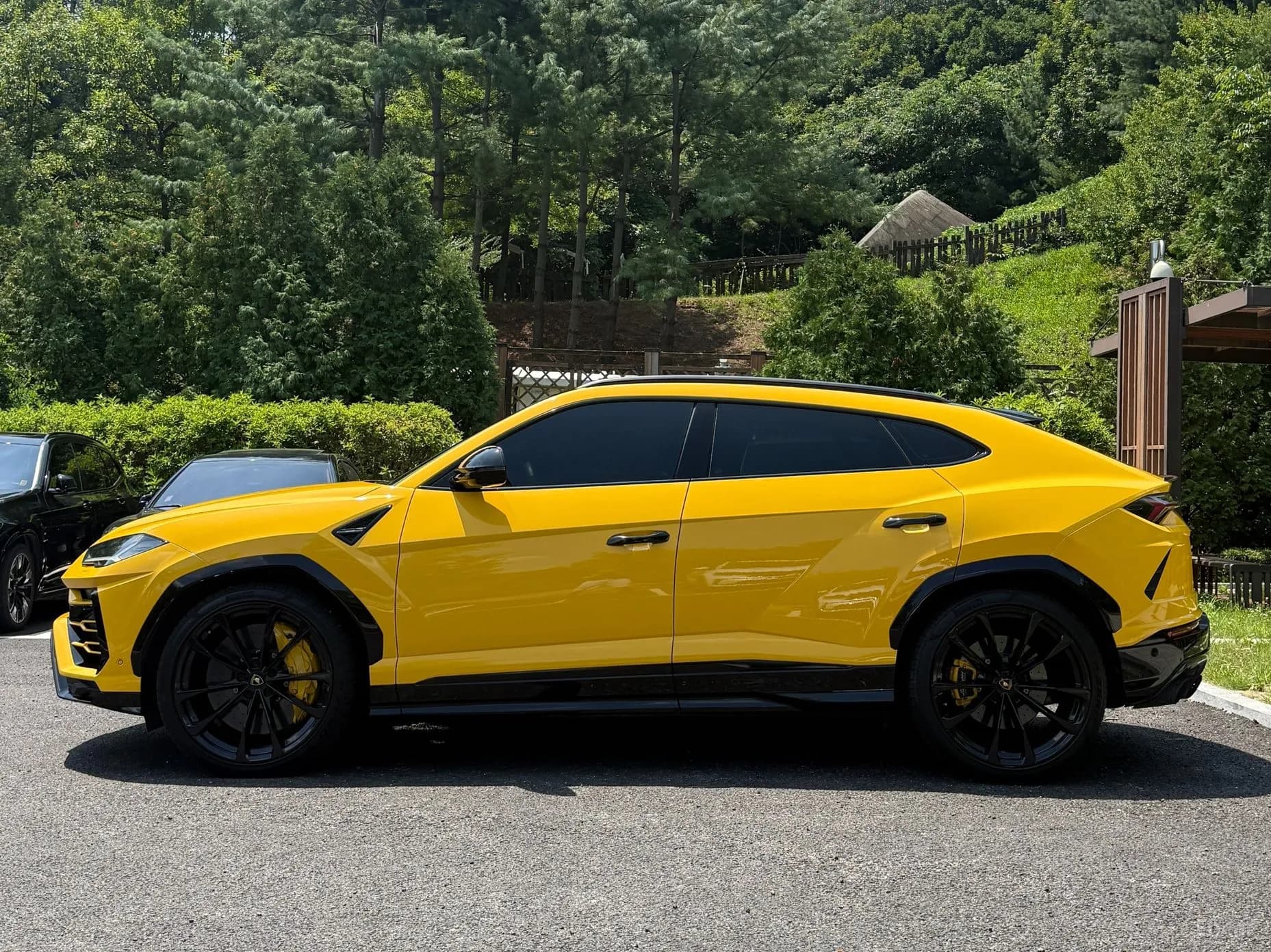 Urus