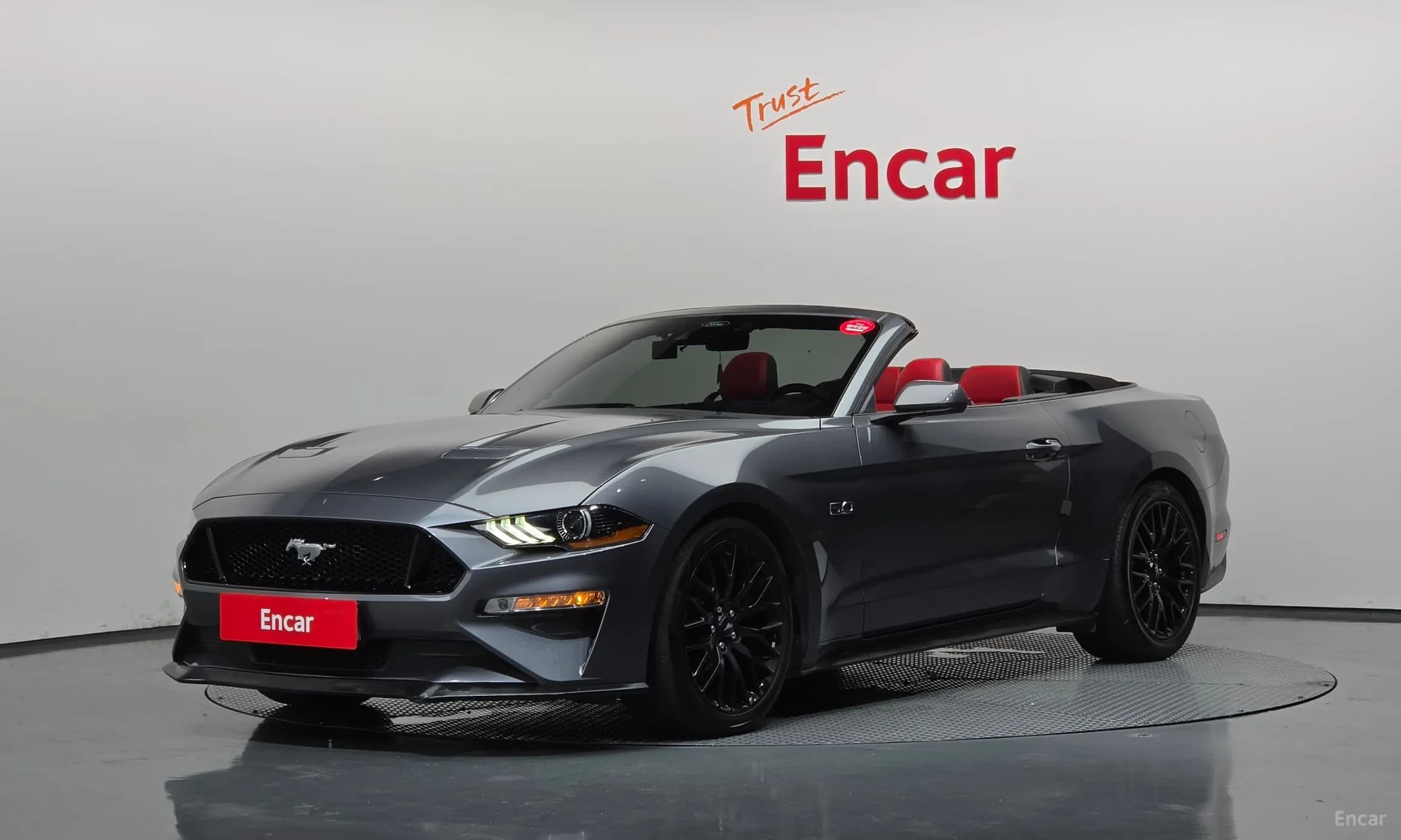 Mustang