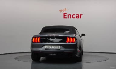 Mustang