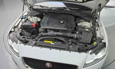 XF (x260)