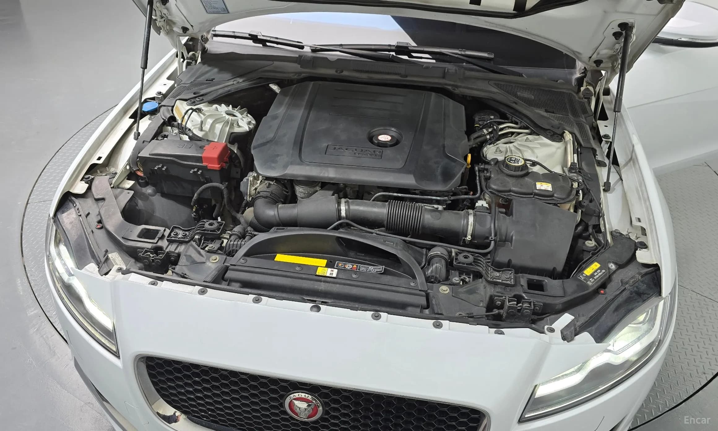 XF (x260)