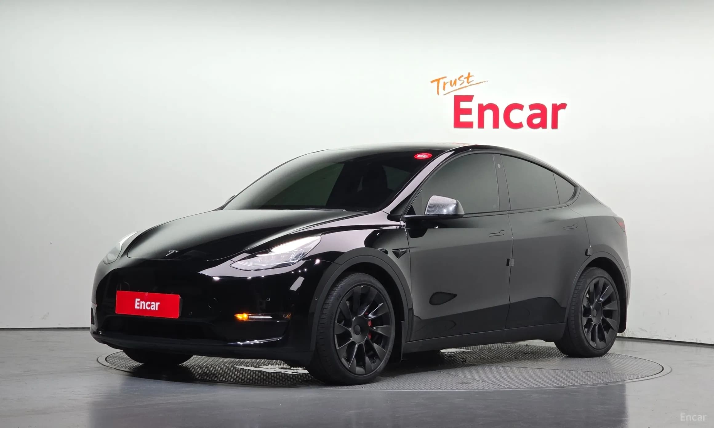 Model Y