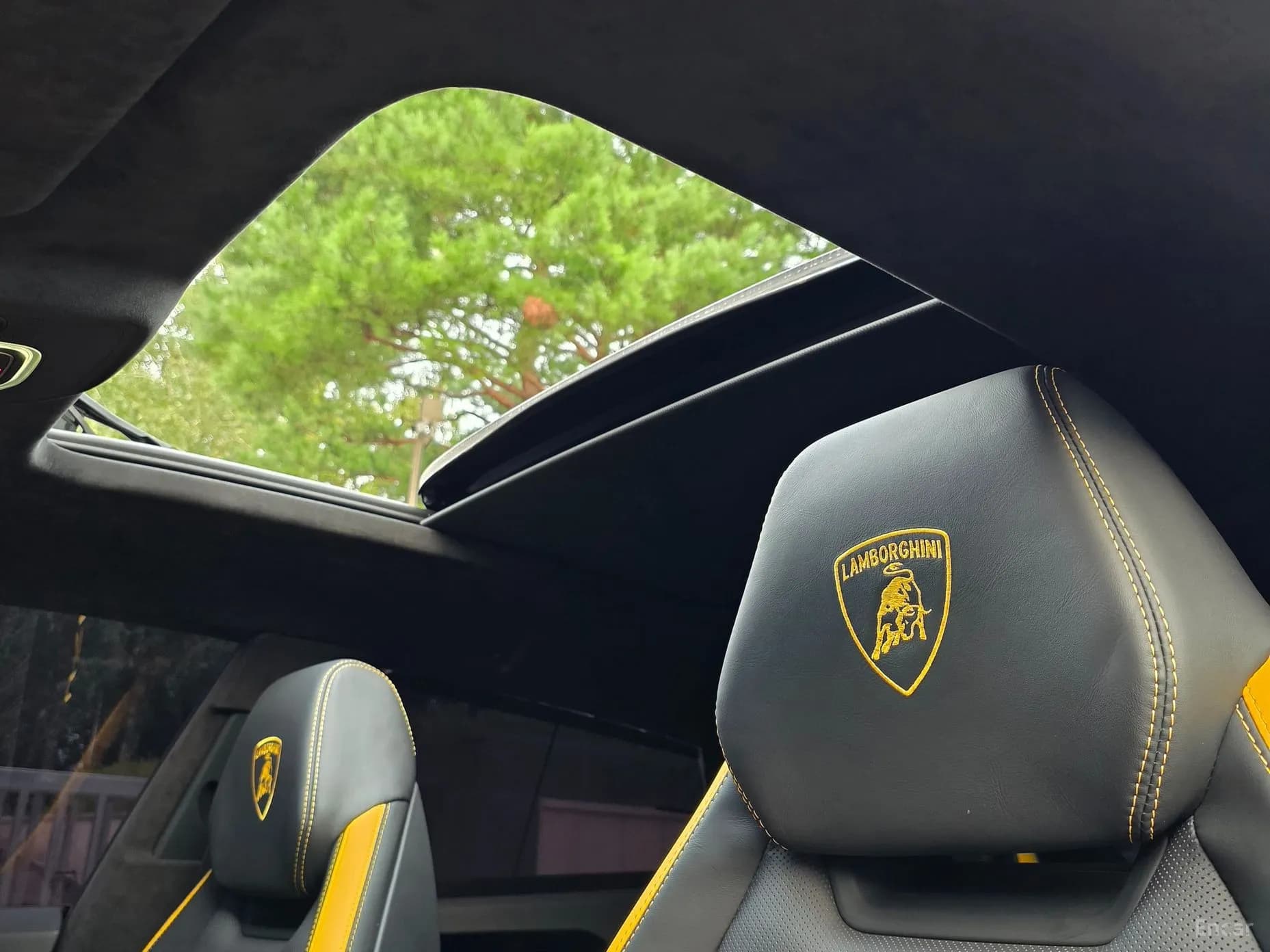 Urus