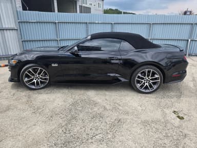 Mustang