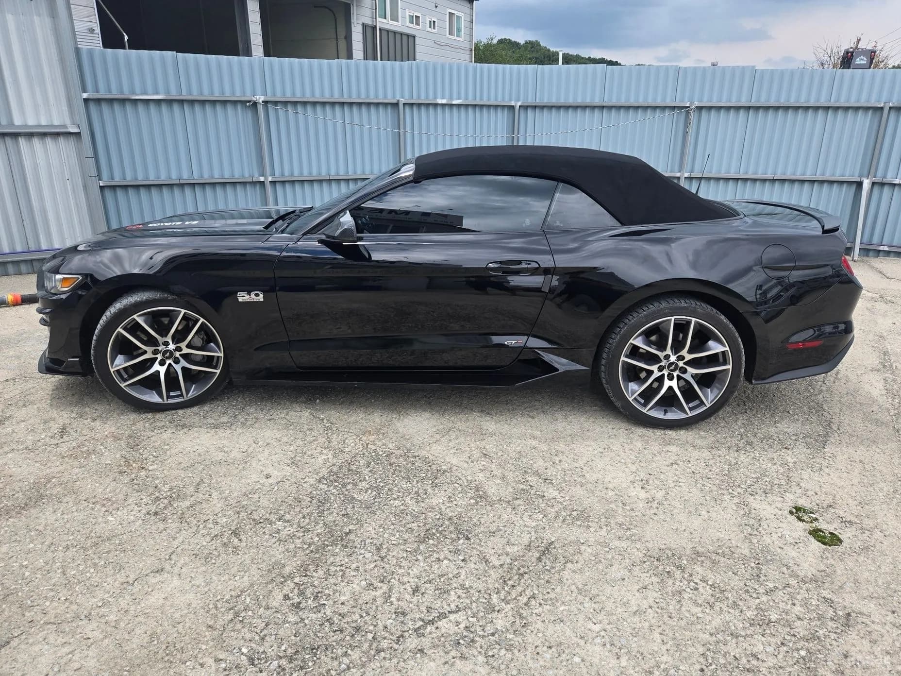 Mustang