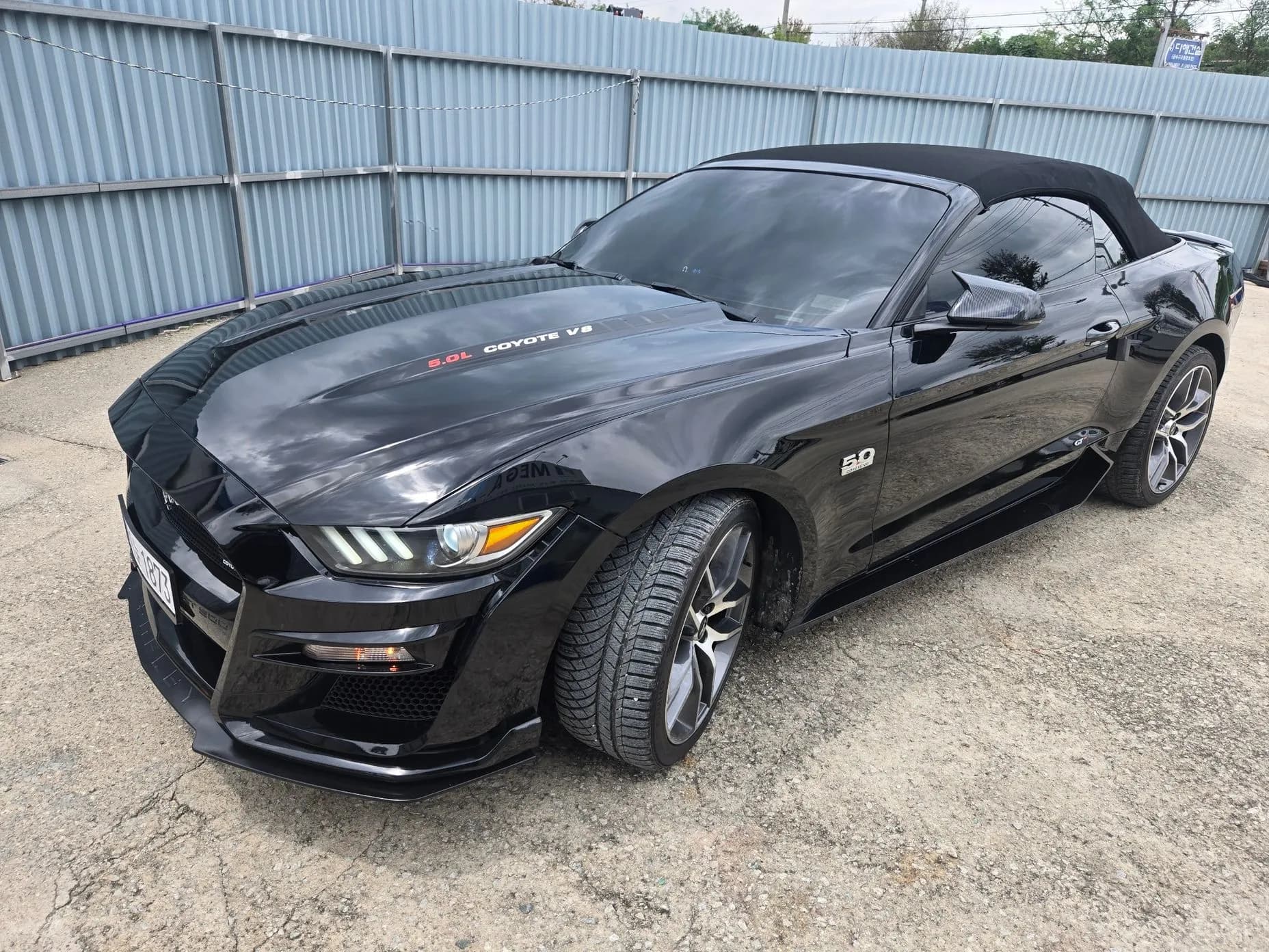 Mustang