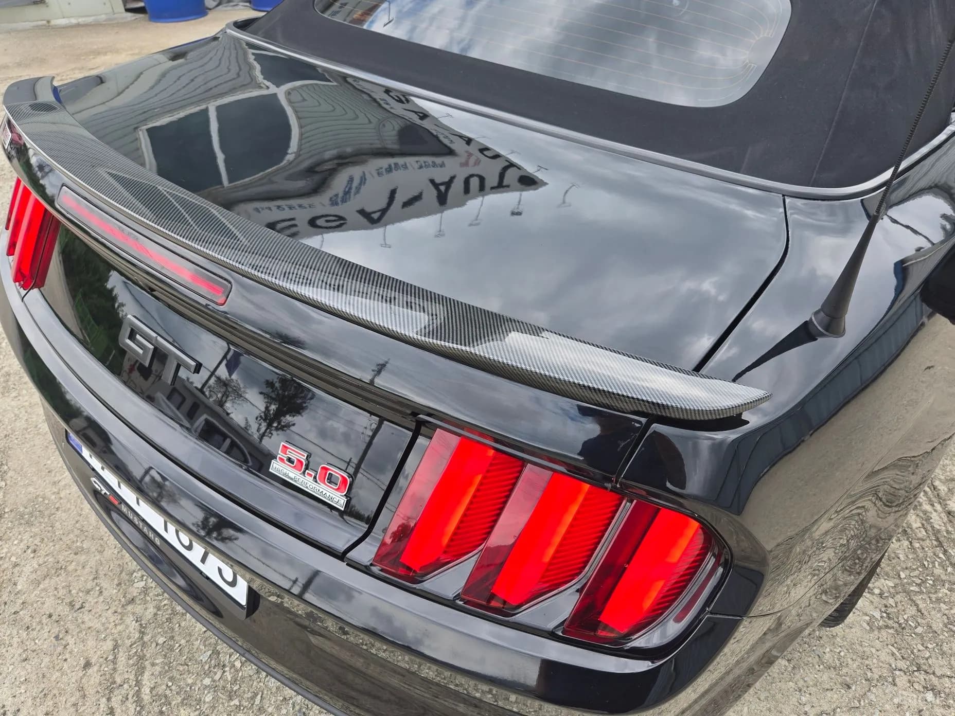 Mustang