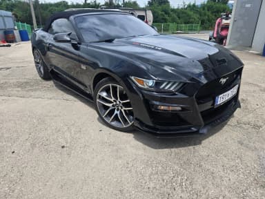 Mustang