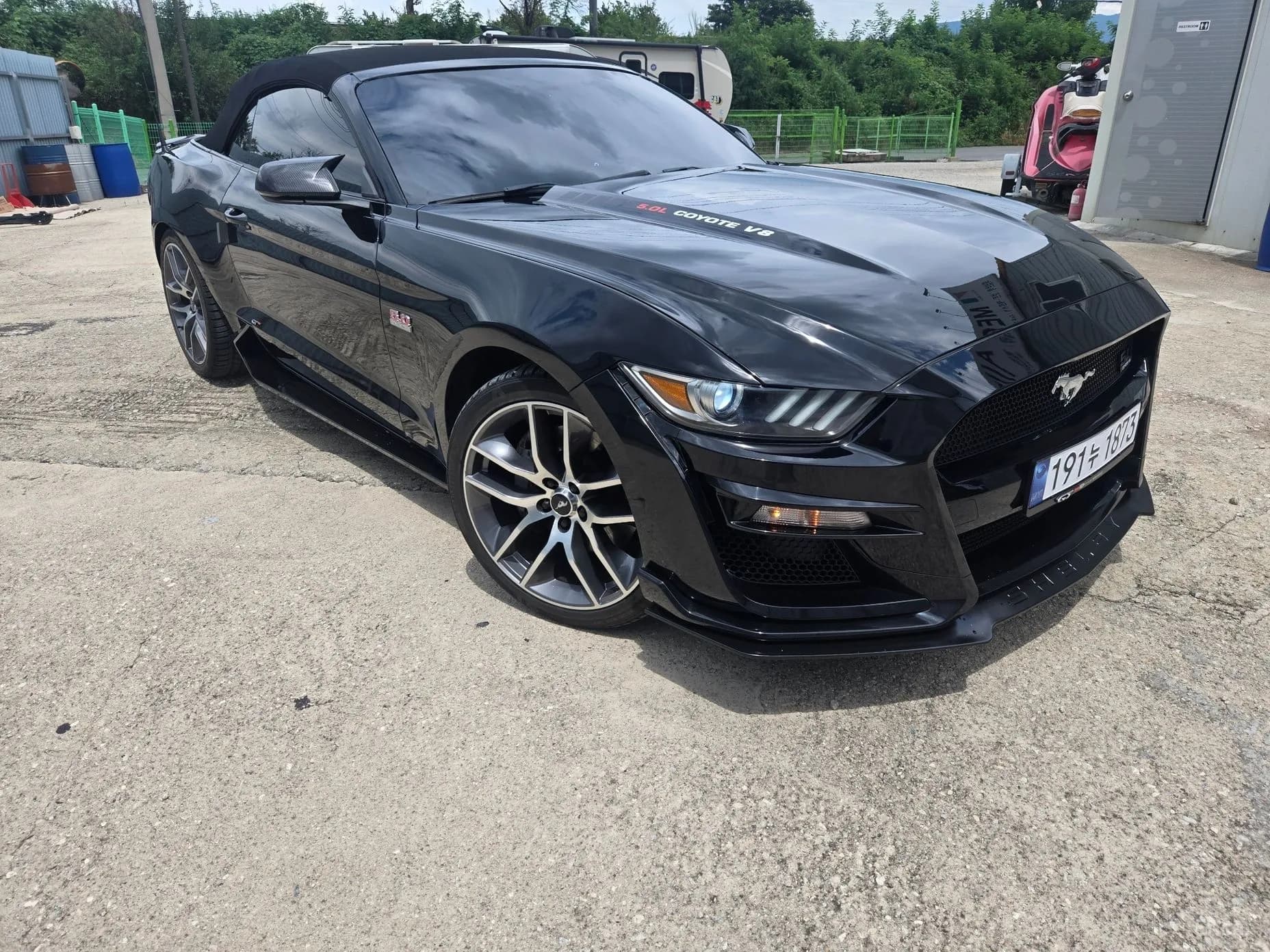 Mustang