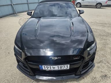 Mustang