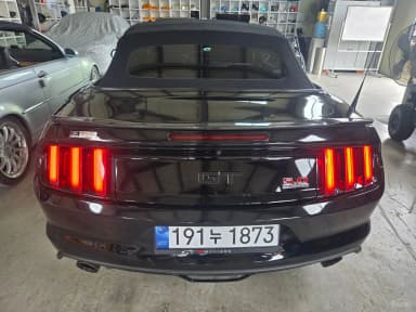 Mustang