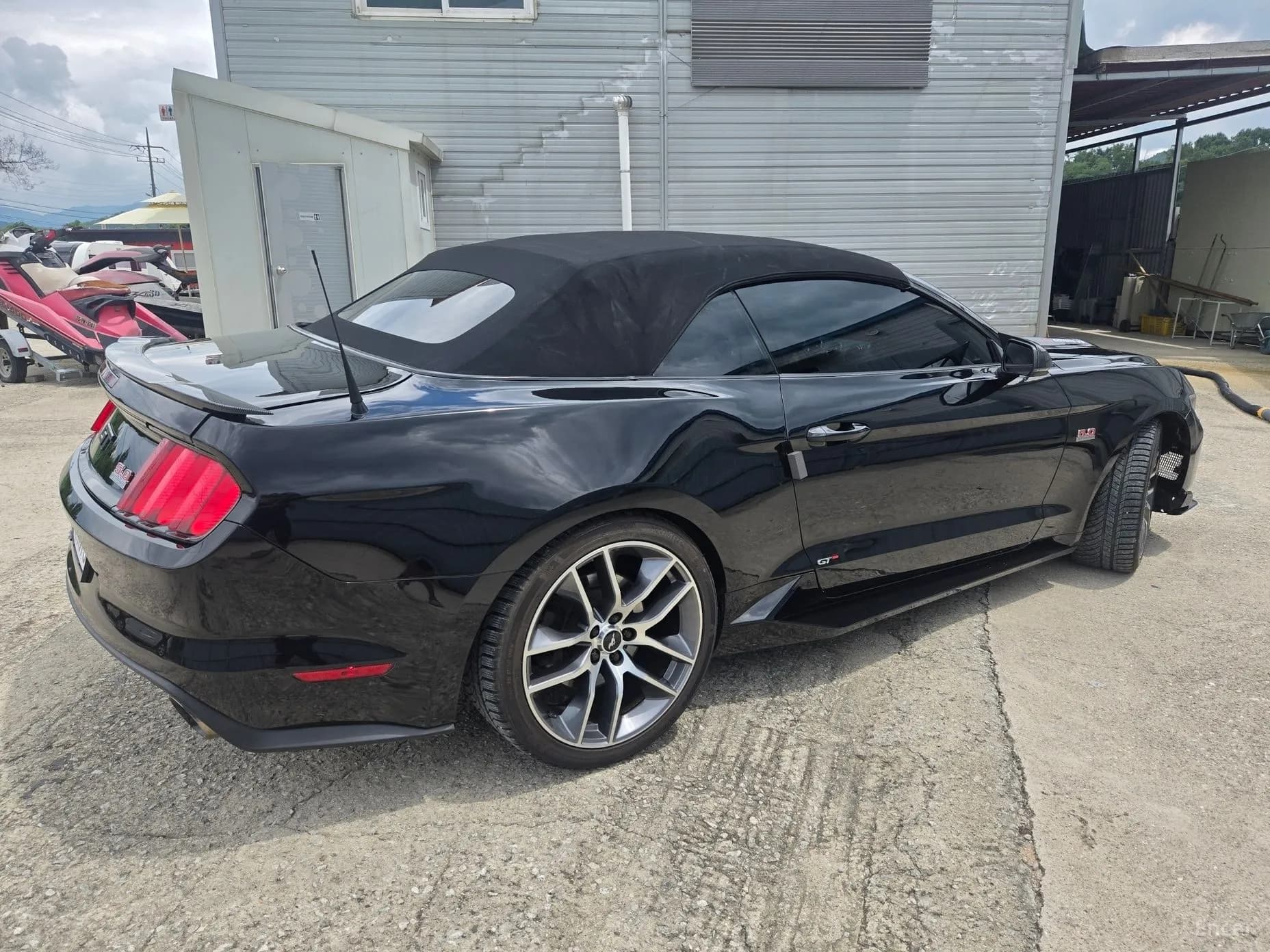Mustang