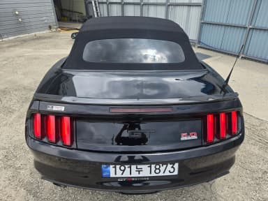 Mustang