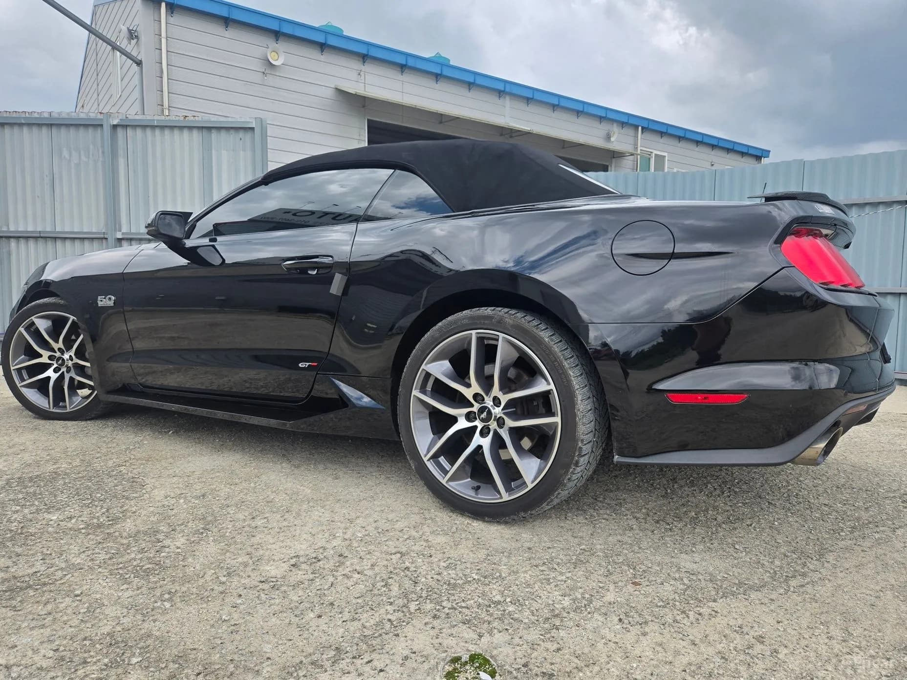 Mustang